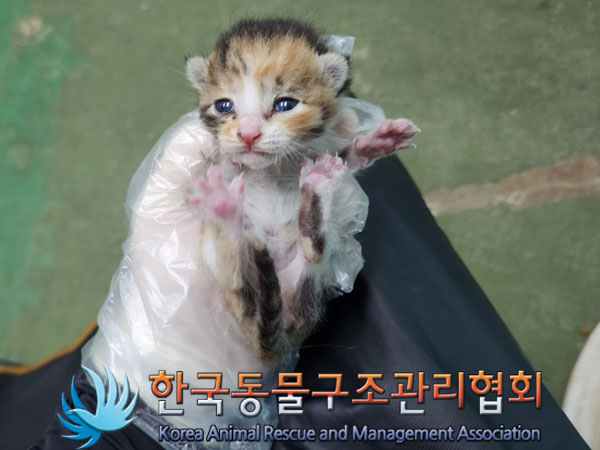 한국동물구조관리협회_441560202301287